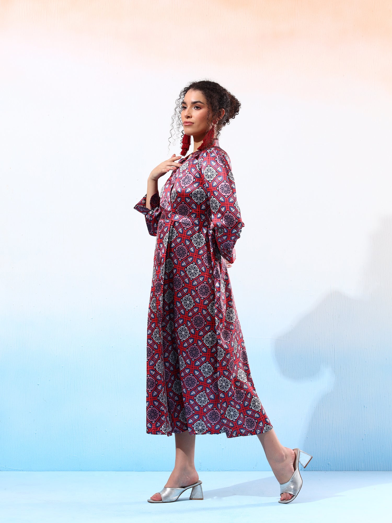 Classy Printed Flared Dress