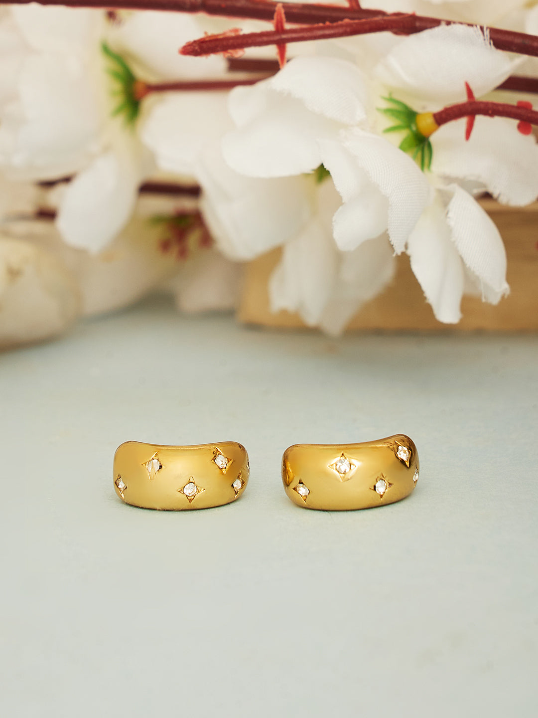 Women Stainless Steel Studs Earrings